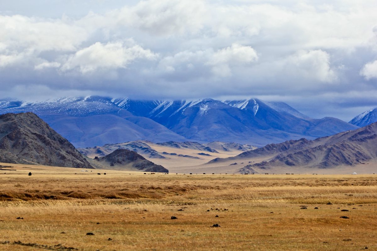 Top 5 Train Routes to Explore Mongolia